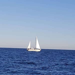 eight hour day sail boat charter