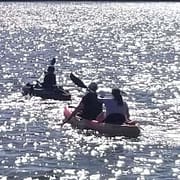 kayaking while sailing charlotte harbor