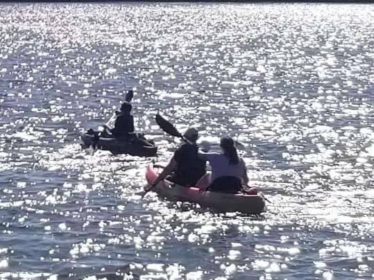 kayaking while sailing charlotte harbor