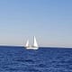 eight hour day sail boat charter
